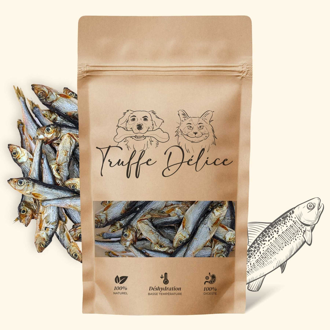 Sprats - friandise_naturelle_pour_chien - TRUFFE DÉLICE