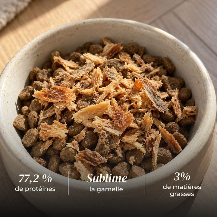 Topping de bœuf haché - #friandise_naturelle_pour_chien# - TRUFFE DÉLICE