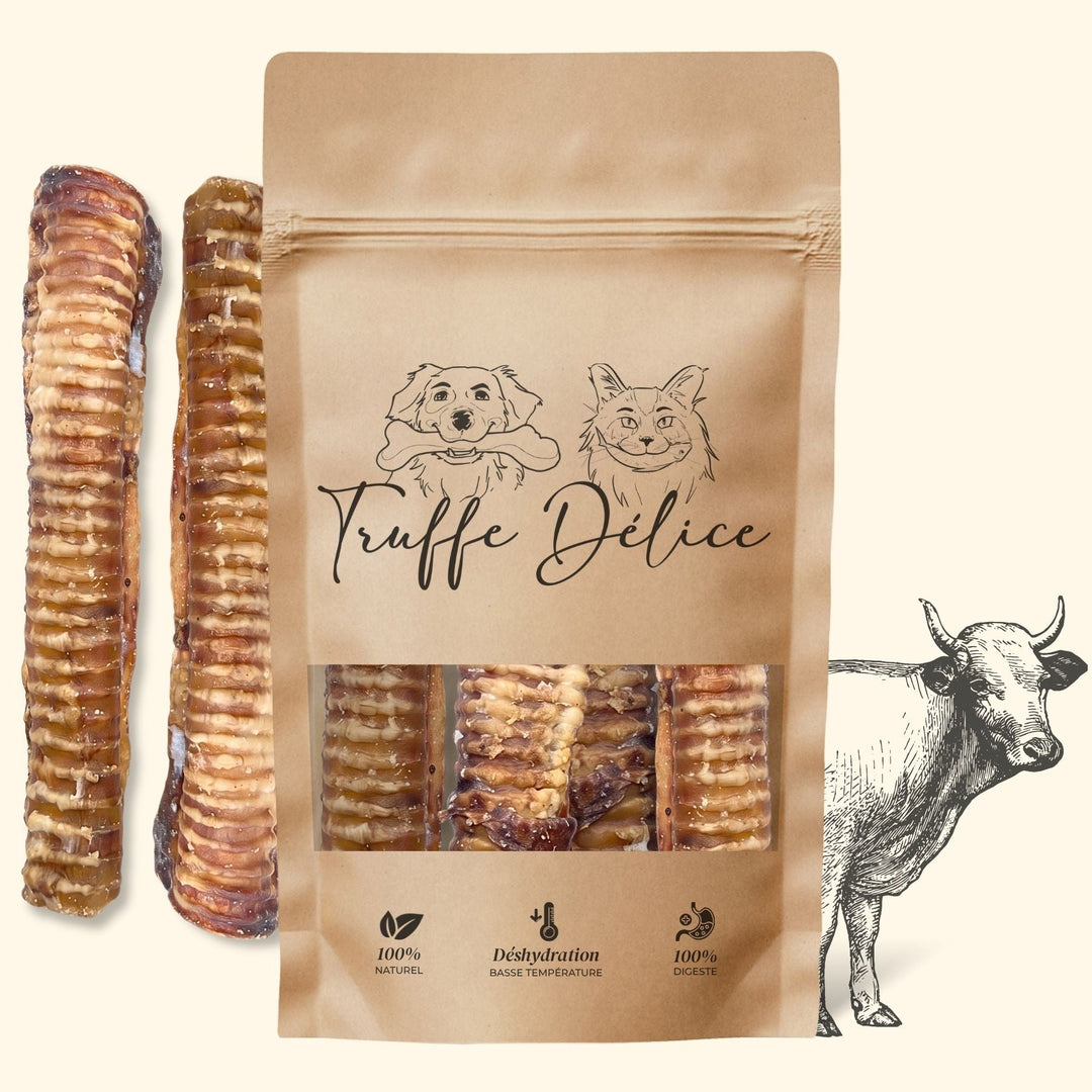 Trachées de bœuf - friandise_naturelle_pour_chien - TRUFFE DÉLICE