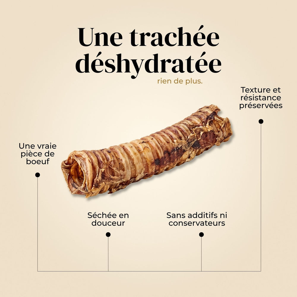 Trachées de bœuf - friandise_naturelle_pour_chien - TRUFFE DÉLICE