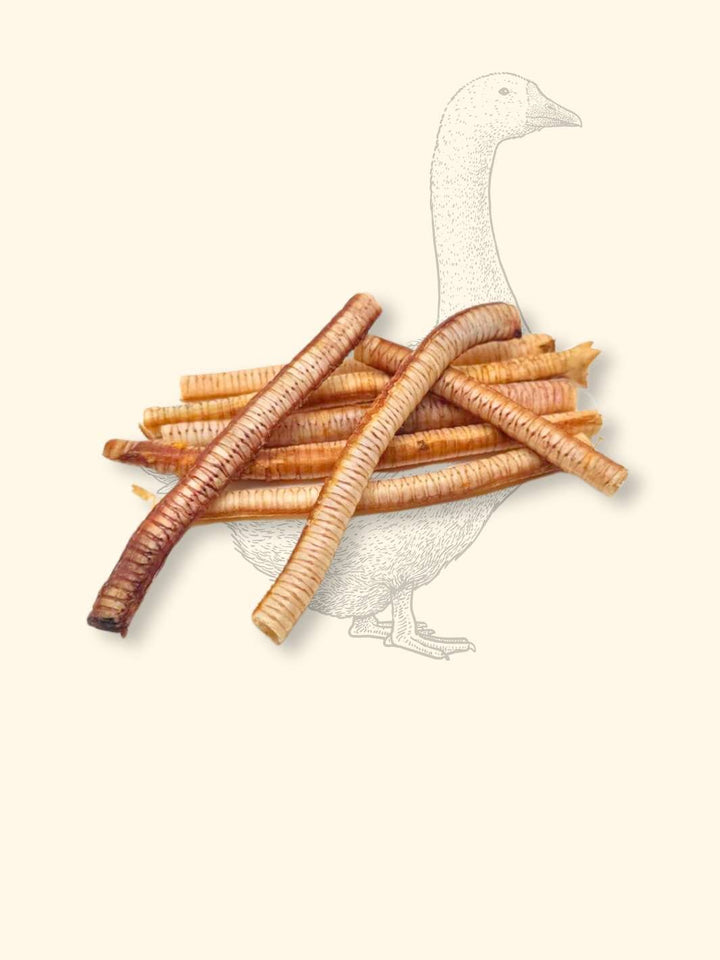 Trachées d'oie - friandise_naturelle_pour_chien - TRUFFE DÉLICE