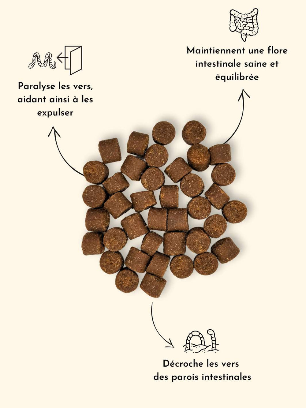 Vermifuge pour chien - friandise_naturelle_pour_chien - TRUFFE DÉLICE