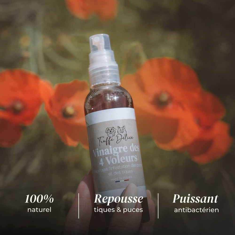 Vinaigre des 4 voleurs - Antiparasitaire chien - friandise_naturelle_pour_chien - TRUFFE DÉLICE