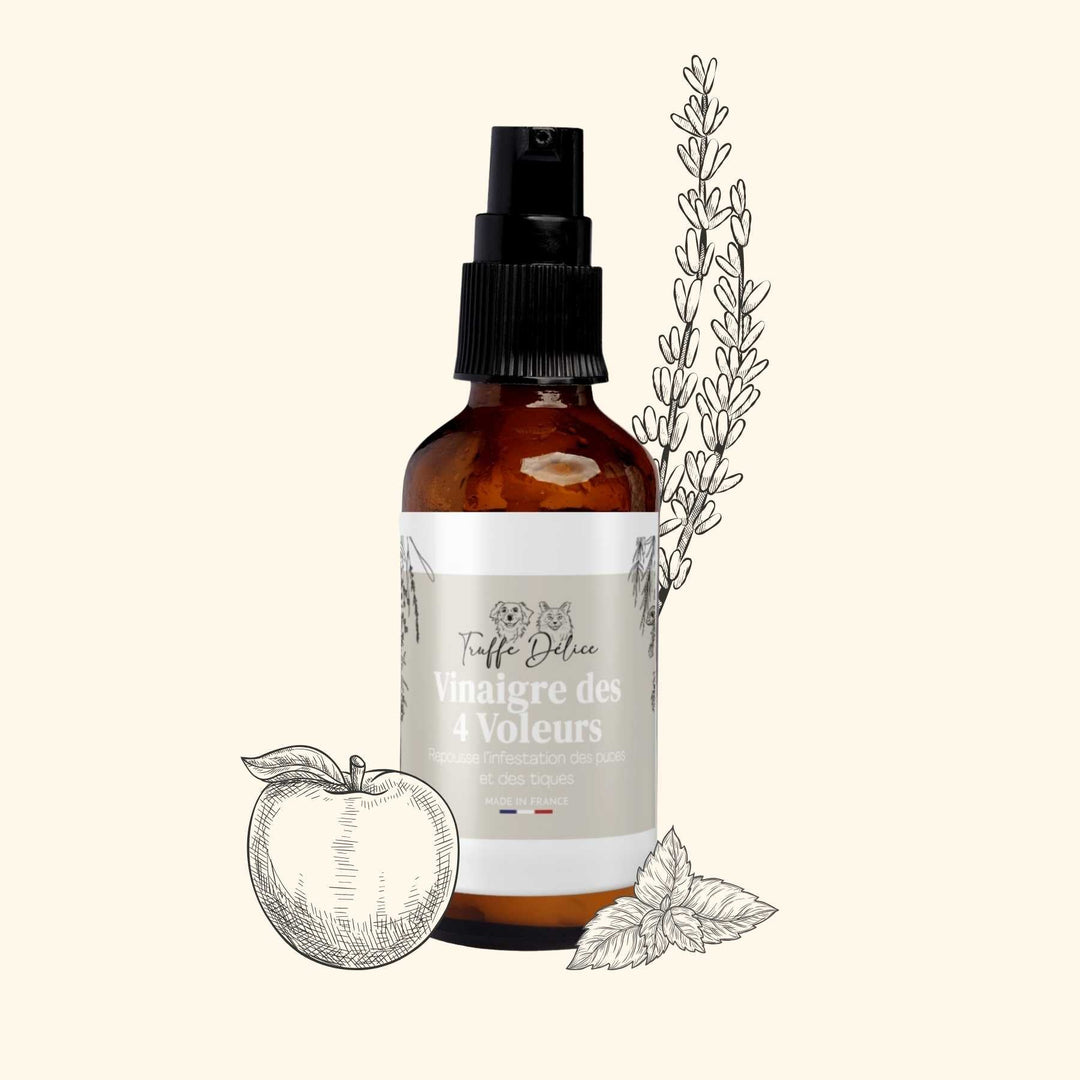Vinaigre des 4 voleurs - Antiparasitaire chien - friandise_naturelle_pour_chien - TRUFFE DÉLICE