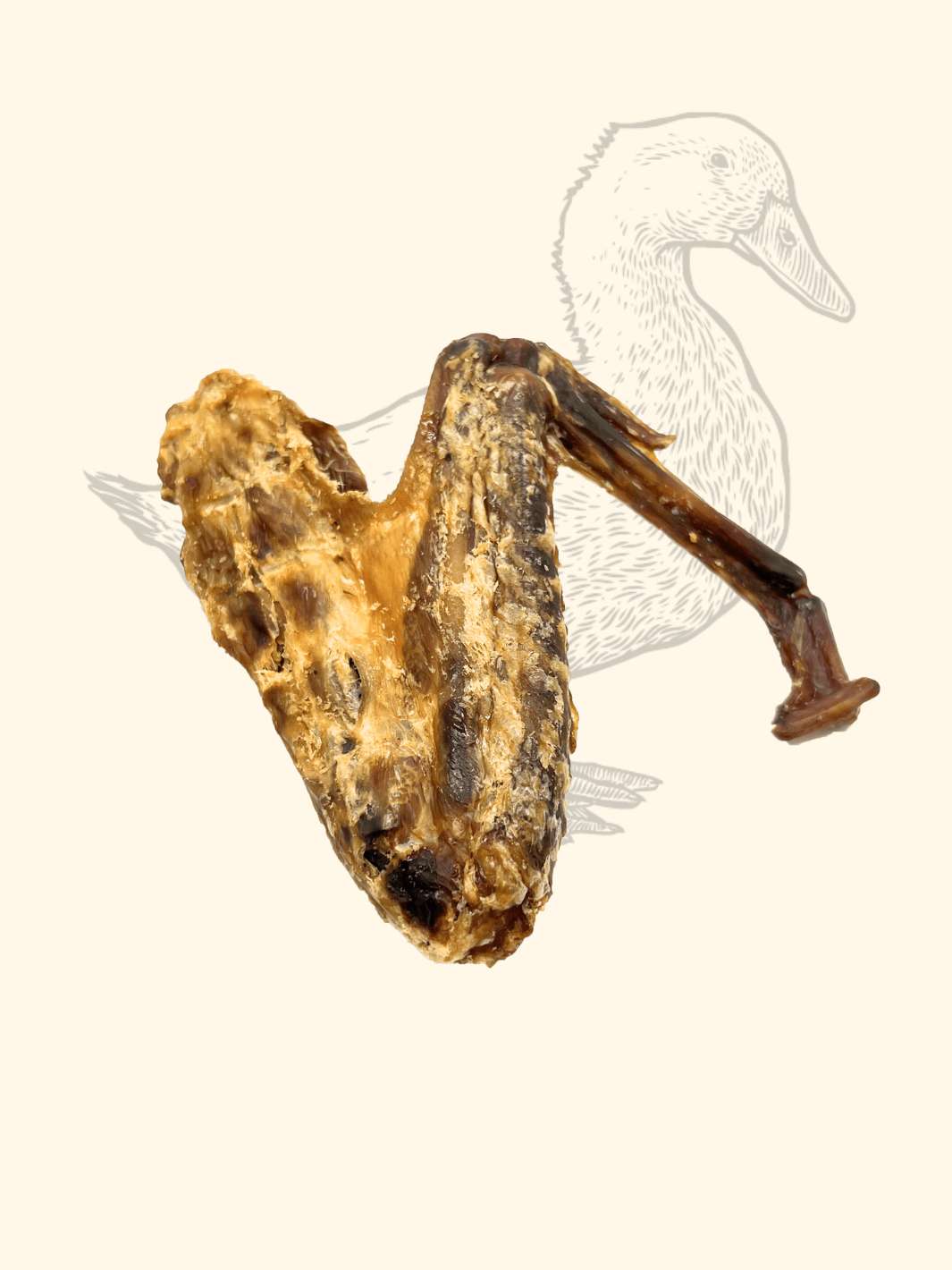 Wings de Canard - friandise_naturelle_pour_chien - TRUFFE DÉLICE