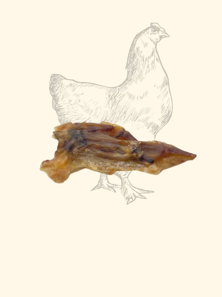 Wings de Poulet - friandise_naturelle_pour_chien - TRUFFE DÉLICE