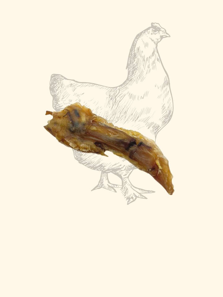 Wings de Poulet - friandise_naturelle_pour_chien - TRUFFE DÉLICE