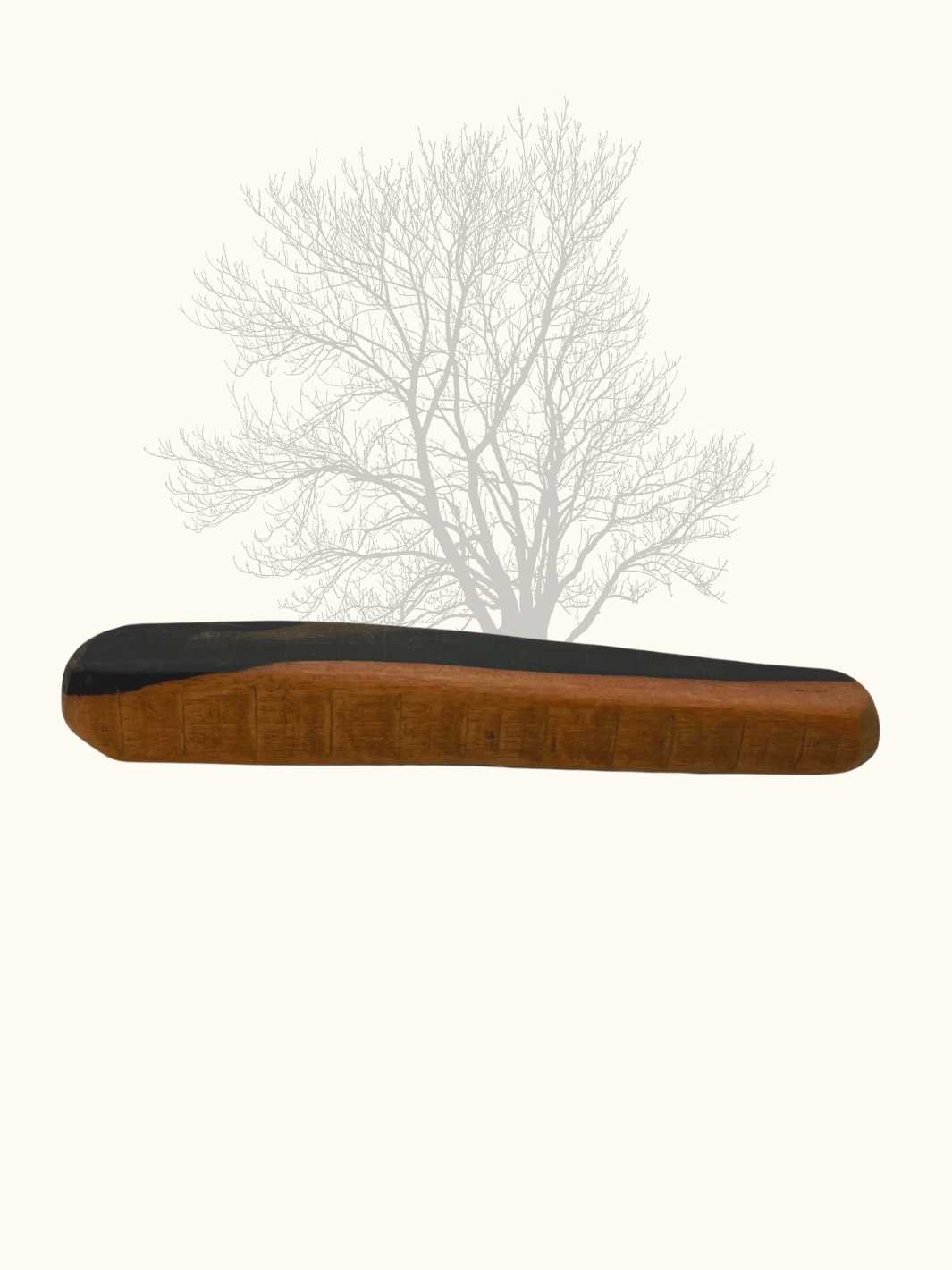 Bâton à mâcher en bois d'ébène - #friandise_naturelle_pour_chien# - Truffe delice