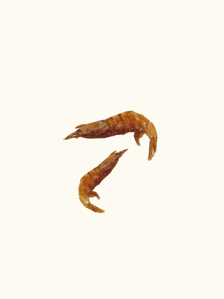 Crevettes - #friandise_naturelle_pour_chien# - Truffe delice