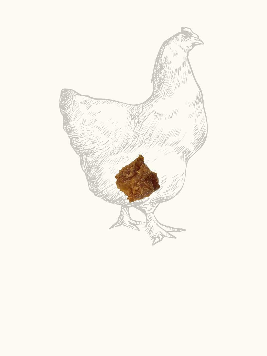 Cubes de poulet - #friandise_naturelle_pour_chien# - Truffe delice