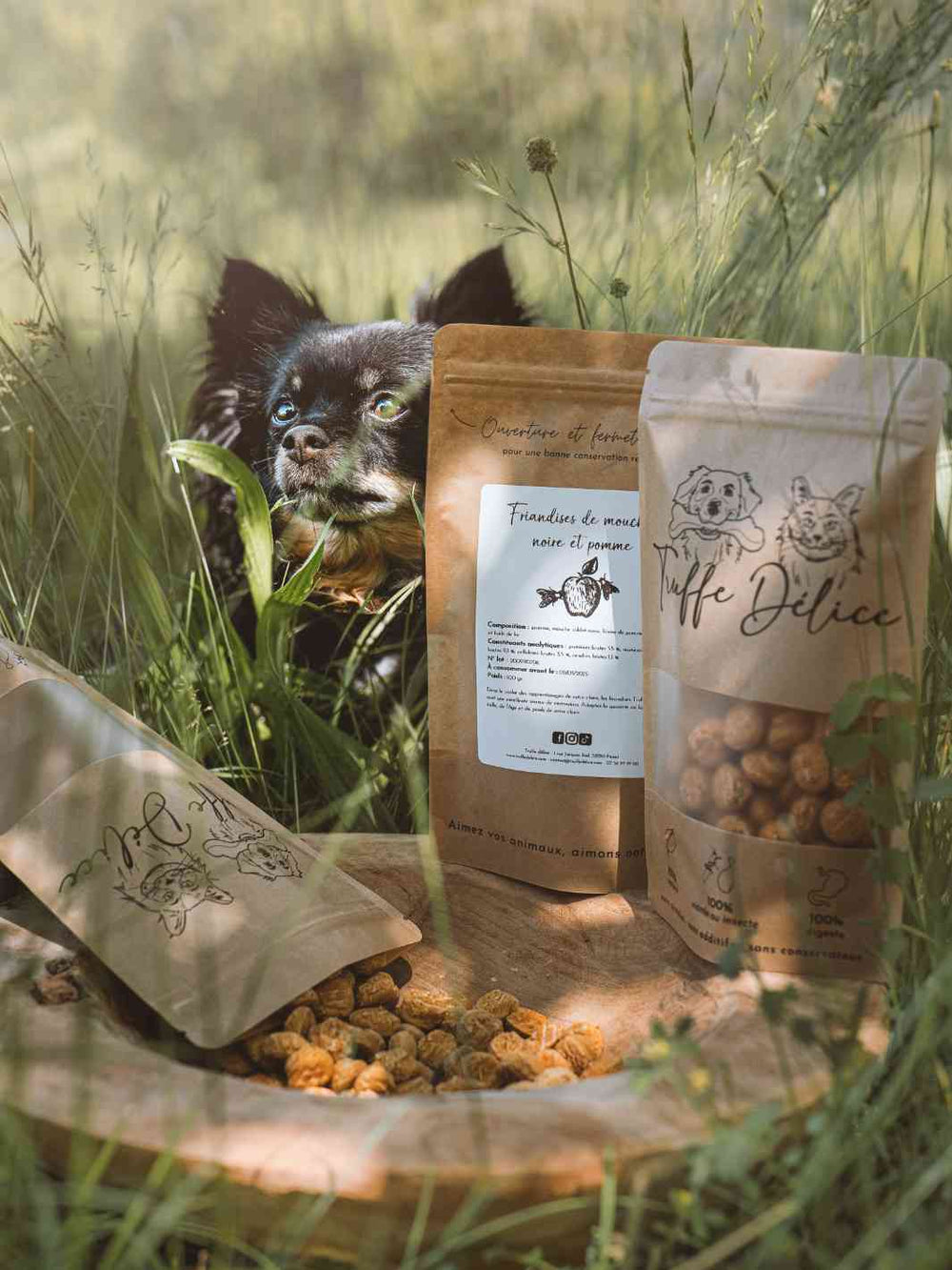 Friandises mouche soldat noire & pomme - #friandise_naturelle_pour_chien# - Truffe delice