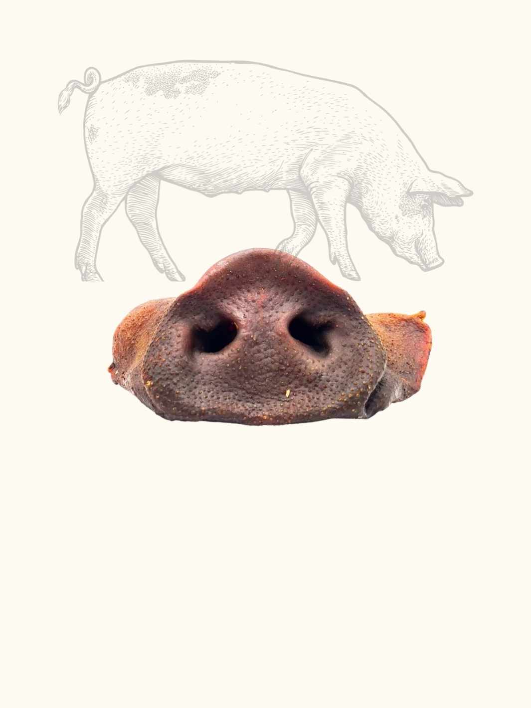groin de porc - #friandise_naturelle_pour_chien# - Truffe delice