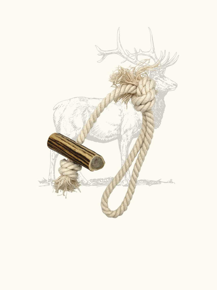 Jouet en corde avec bois de cerf - #friandise_naturelle_pour_chien# - Truffe delice