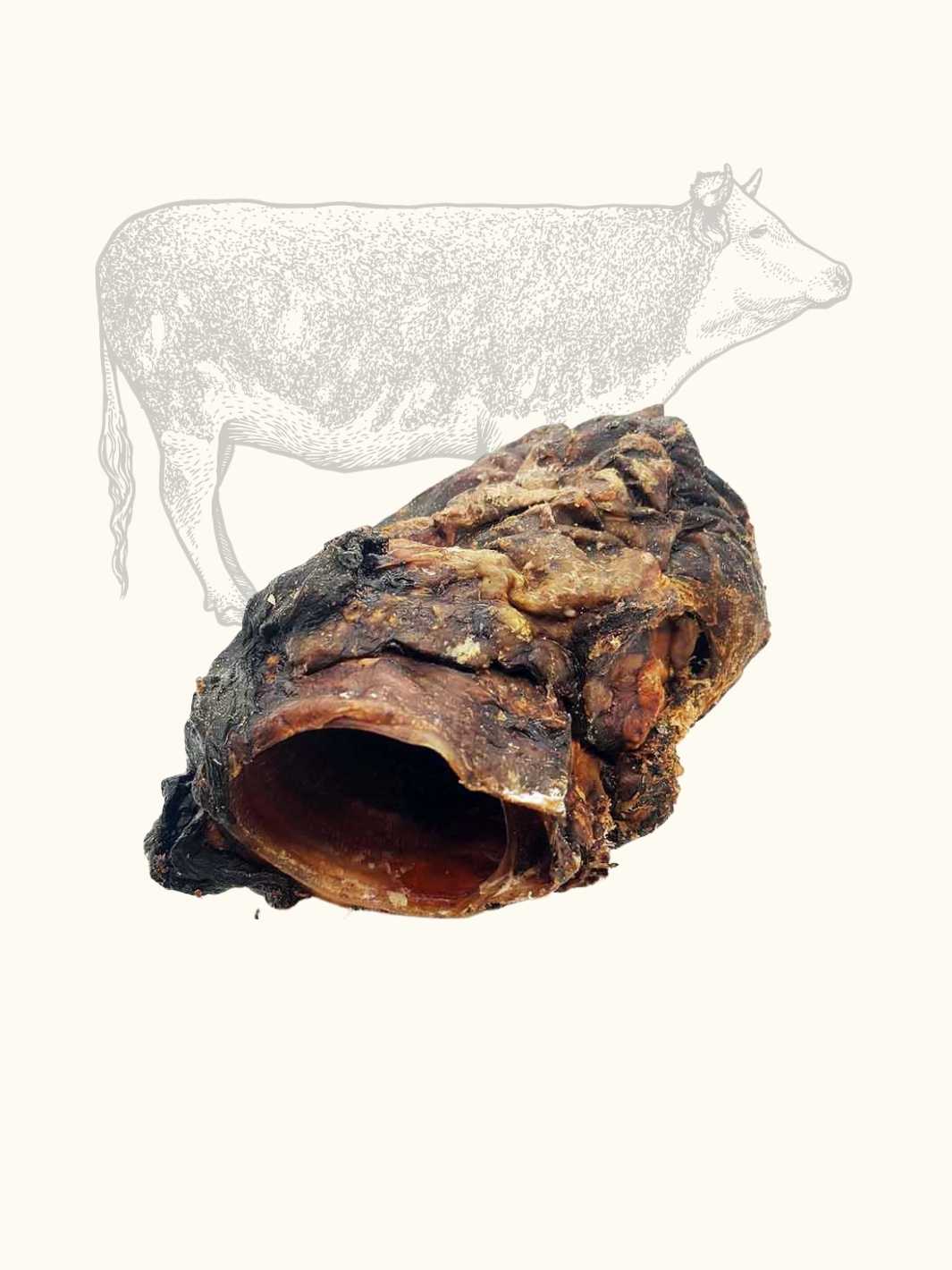 Pharynx de Bœuf à Mâcher pour Chien, Friandise Naturelle