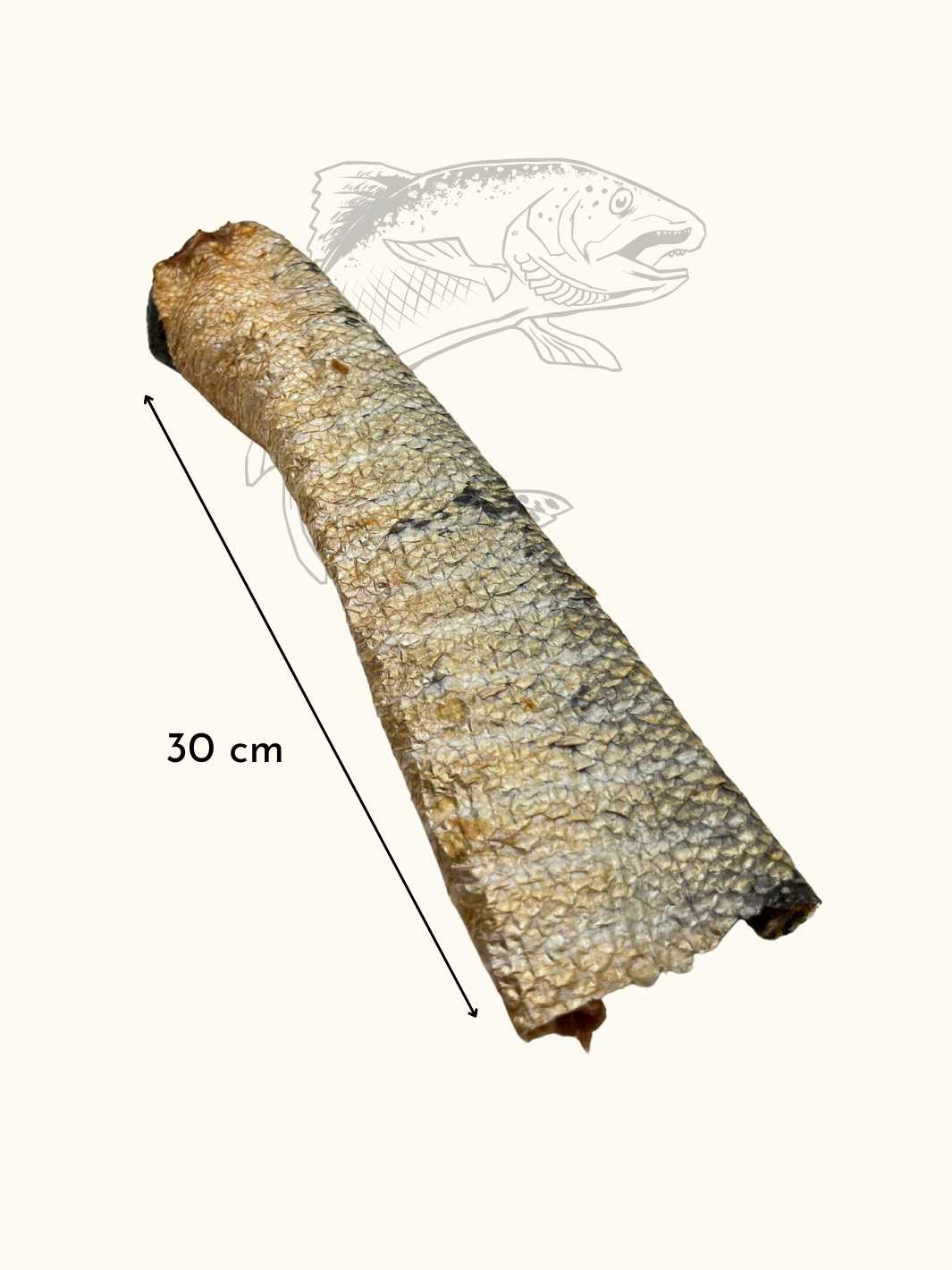 Saumon 30 cm