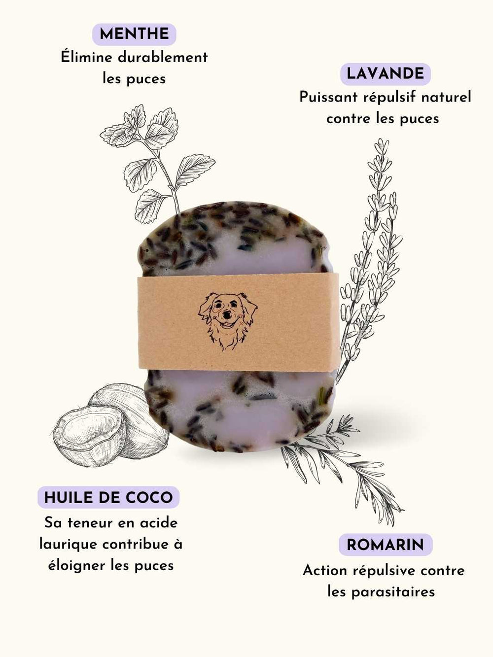 Vermifuge naturel - Chien et chat - Made in France – Truffe delice