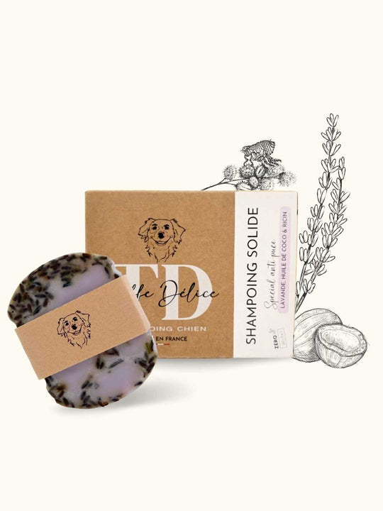 Shampoing anti puce chien