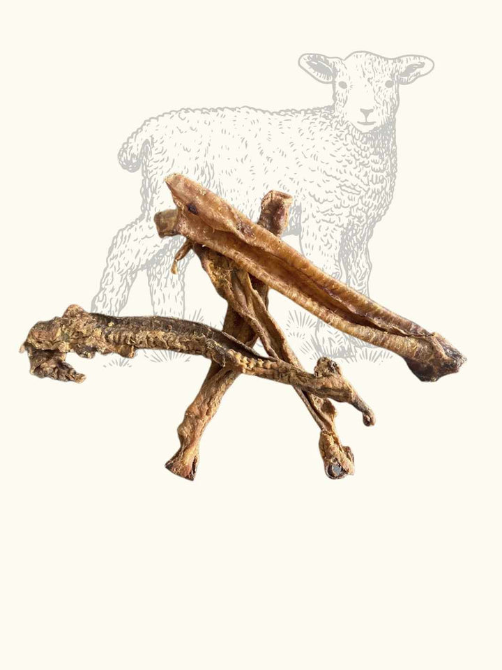 Trachées d'agneau - #friandise_naturelle_pour_chien# - Truffe delice